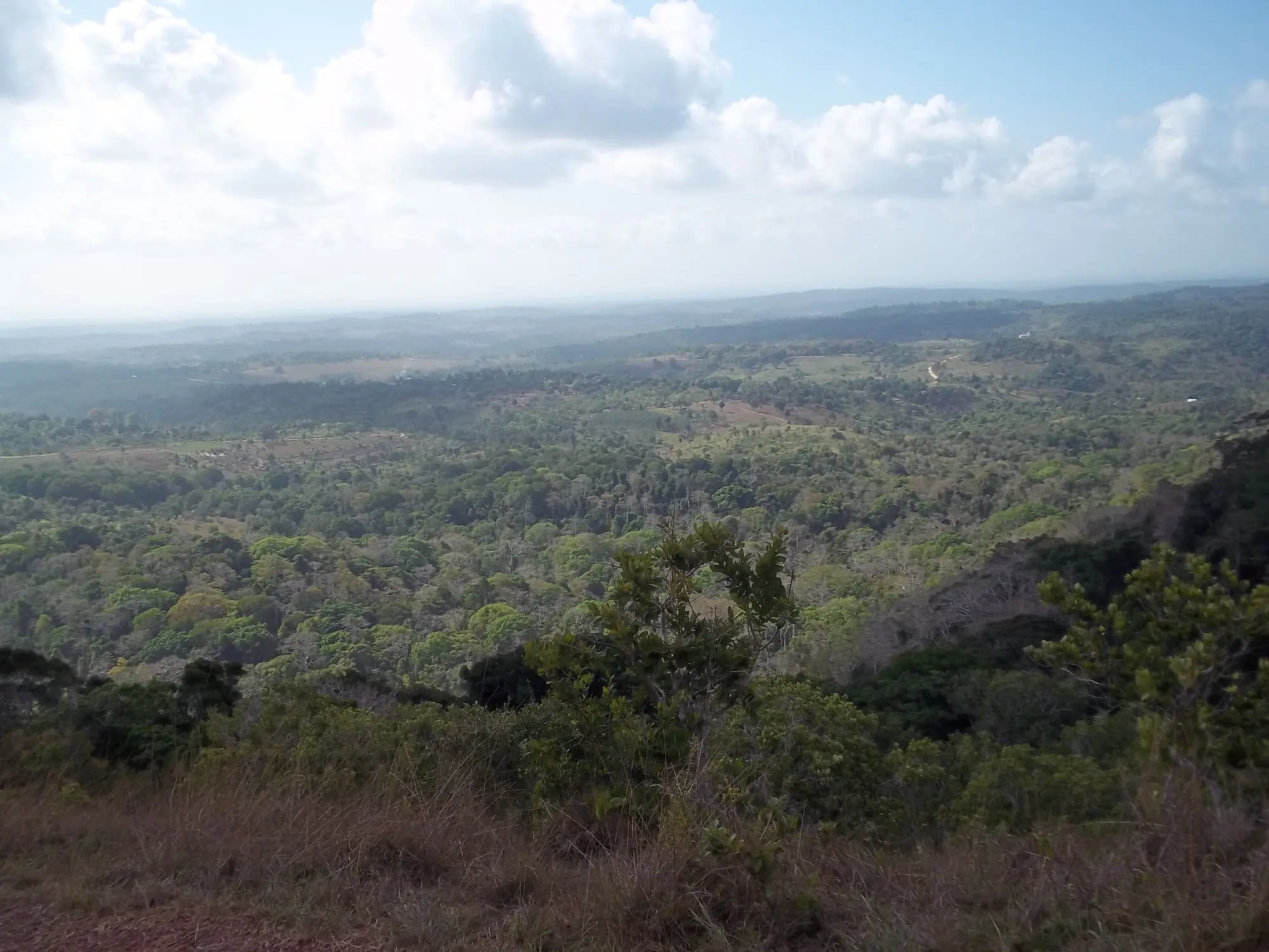 Shimba Hills, Kwale County — the forested coastal landscape inland of Diani